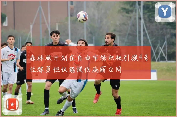 森林狼计划在自由市场积极引援4号位球员但仅能提供底薪合同
